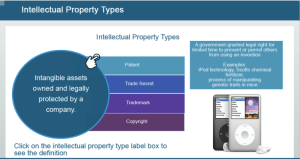 IP Primer - IP Types